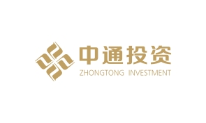 中通投資