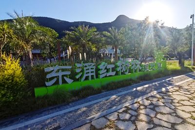 東湧紅樹林濕地(dì / de)公園-标識工程