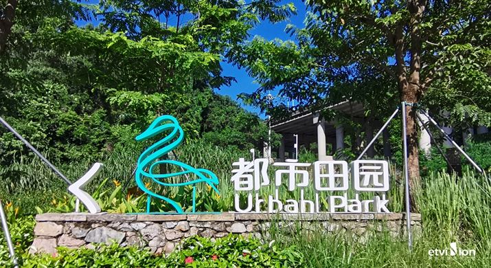 2023公司網站标識案例-070